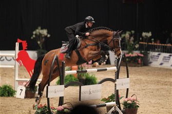Heartbeat by Heartbreaker/Ramiro Z/Pericles XX is one of the successful breedsires in the Showjumper Program, here at costume jumping 1.45 m level in Herning 2012