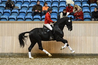 Sezuan won the 35-day test 2012 in the dressage discipline with an exceptional total score of  987.5. On the picture with dressage station test manager Mathias Tourbier.