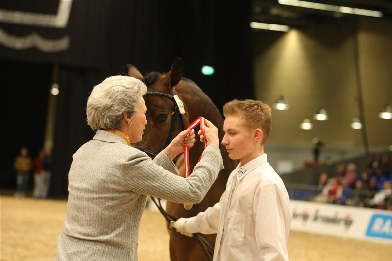 At the DWB Stallion Show in Herning 2009, Christian Springborg was honoured by HRH Princess Benedikte for his gold medal at the Young Breeders' world championship, the previous year. Several of the DWB young breeders have later got employment at big stallion stations like Helgstrand Dressage, Katrinelund, Blue Hors, Stutteri Ask, and Hoejagergaard in Denmark.
