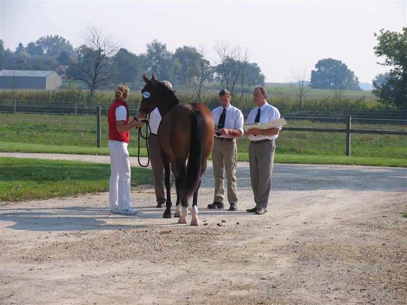 Poul Graugaard, Ole From Christensen, and Lars Anthony at Epona Farm, 2008