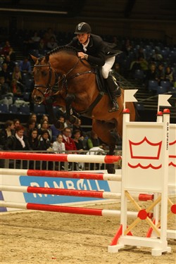 The breedsire Lertevangs Colier is approved in the DWB Showjumper Program.