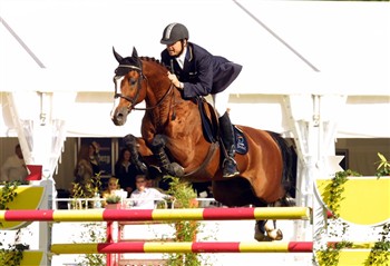 Silver medal winner from OG in Sydney , Lando by Lancier, is also in the DWB Showjumper Program.