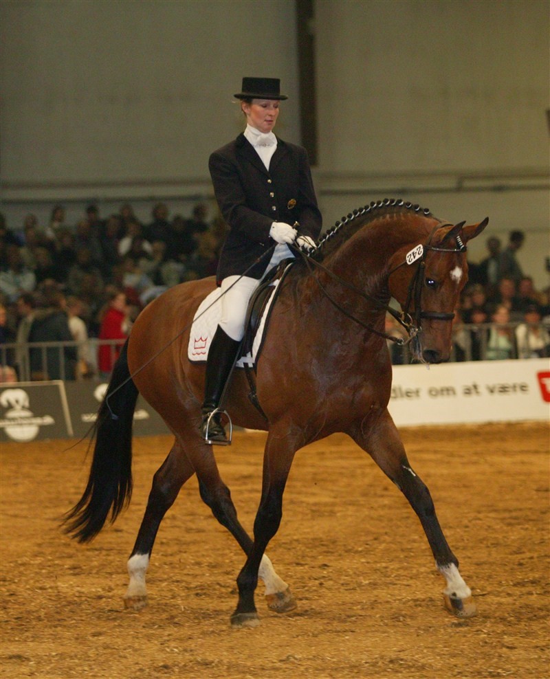 Richman in a dressage contest during the National Stallion Show in Herning 2005