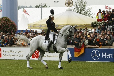 Legendary Matiné ridden by Andreas Helgstrand, took the hearts of the whole of the dressage world in Aachen 2006. Matiné was ROR-F2, in the supplementary register because of lacking pedigree.