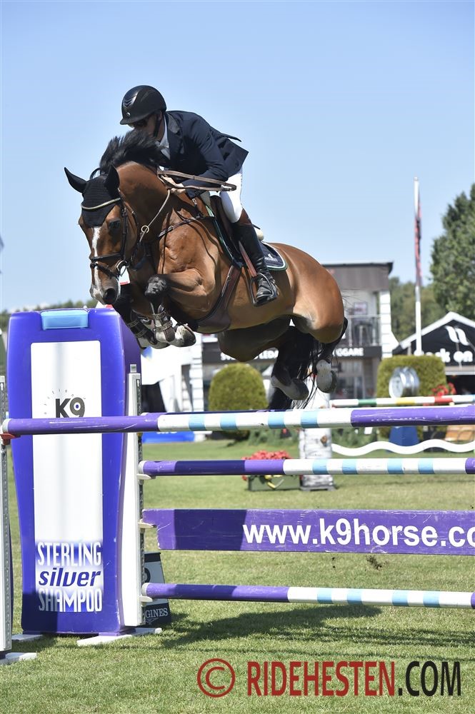 Albert-K was in the finals at the European Championships 2019 with his owner and rider, Kim Kristensen, Denmark. Albert-K is by Heartbeat/Quidam de Revel and bred by a former international show jumping rider, Søren Knudsen. Heartbeat is in the DWB showjumper program.