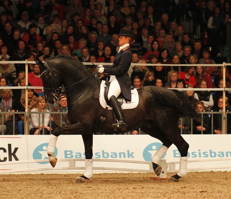 "UNO" Don Diego, here with Danish rider, Ditte Mikkelsen