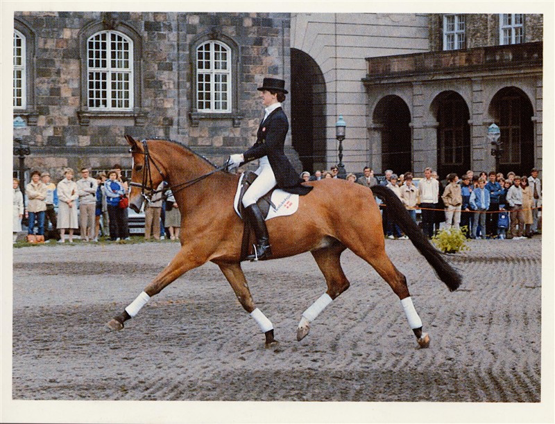 Anne Grethe Törnblad and Marzog, Dressage Horse of the Century